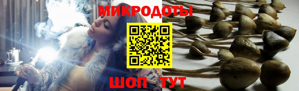 Псилоцибиновые грибы Psilocybe  Галлюциногенные грибы Cubensis  Киреевск  Вход с VPN 